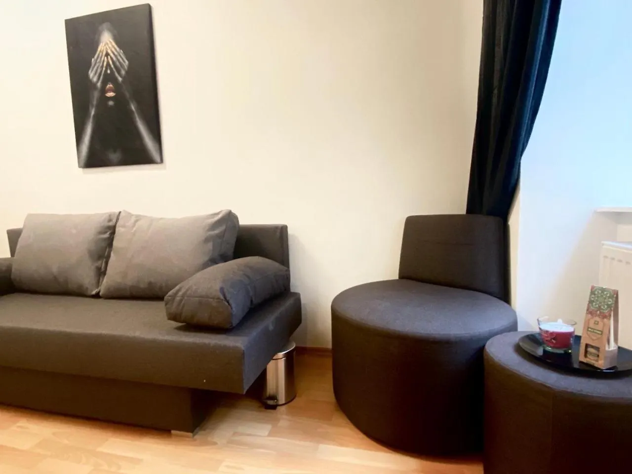Family Room 维也纳